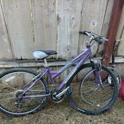 Schwinn Mountain Bike 