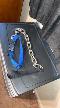 Choke chain ⛓️‍💥 for heavy duty dogs