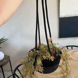 Decor Hanging Plant 