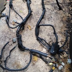 2021 Nissan Maxima Headlight Harness