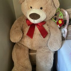 Huge Teddy Bear