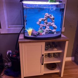 Fish Tank