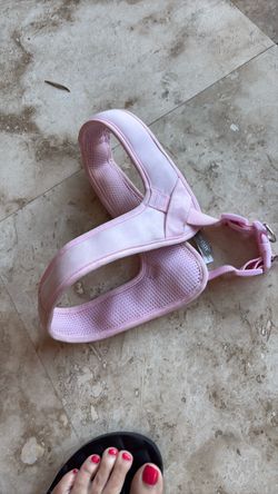 Dog Harness Size M