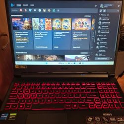 Acer Nitro 5 Gaming Laptop:: 11th Gen, 32GB RAM, 144Hz, RGB