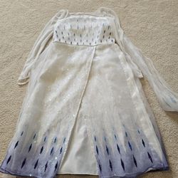 Elsa Dress Costume