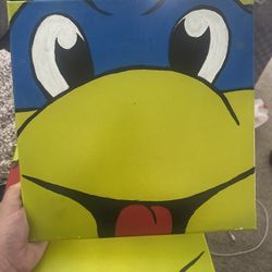 Ninja Turtle Canvas