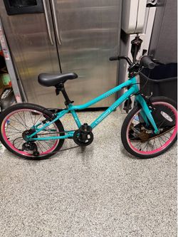 Guardian 20” Kids Bike