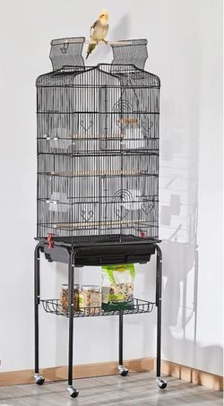 Bird Cage