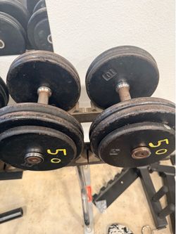 50 pound dumbbells
