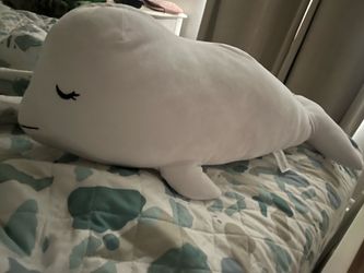 Big sweet  Beluga sea world 🗺️