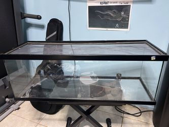 Reptile Tank