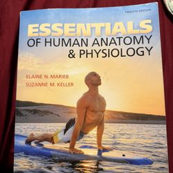 Essentials Of Human Anatomy &physiology 