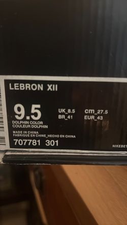 LeBron XII
