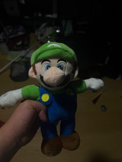 Luigi from Super Mario Bros