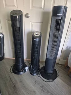 Fans