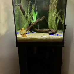 Large Fish Tank!!  MUST GO!!!!!!! Light, Pump, Filter, accessories !!