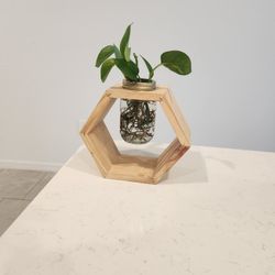 Hexagon mason holder // succulent holder // wedding centerpiece // planter // house decoration