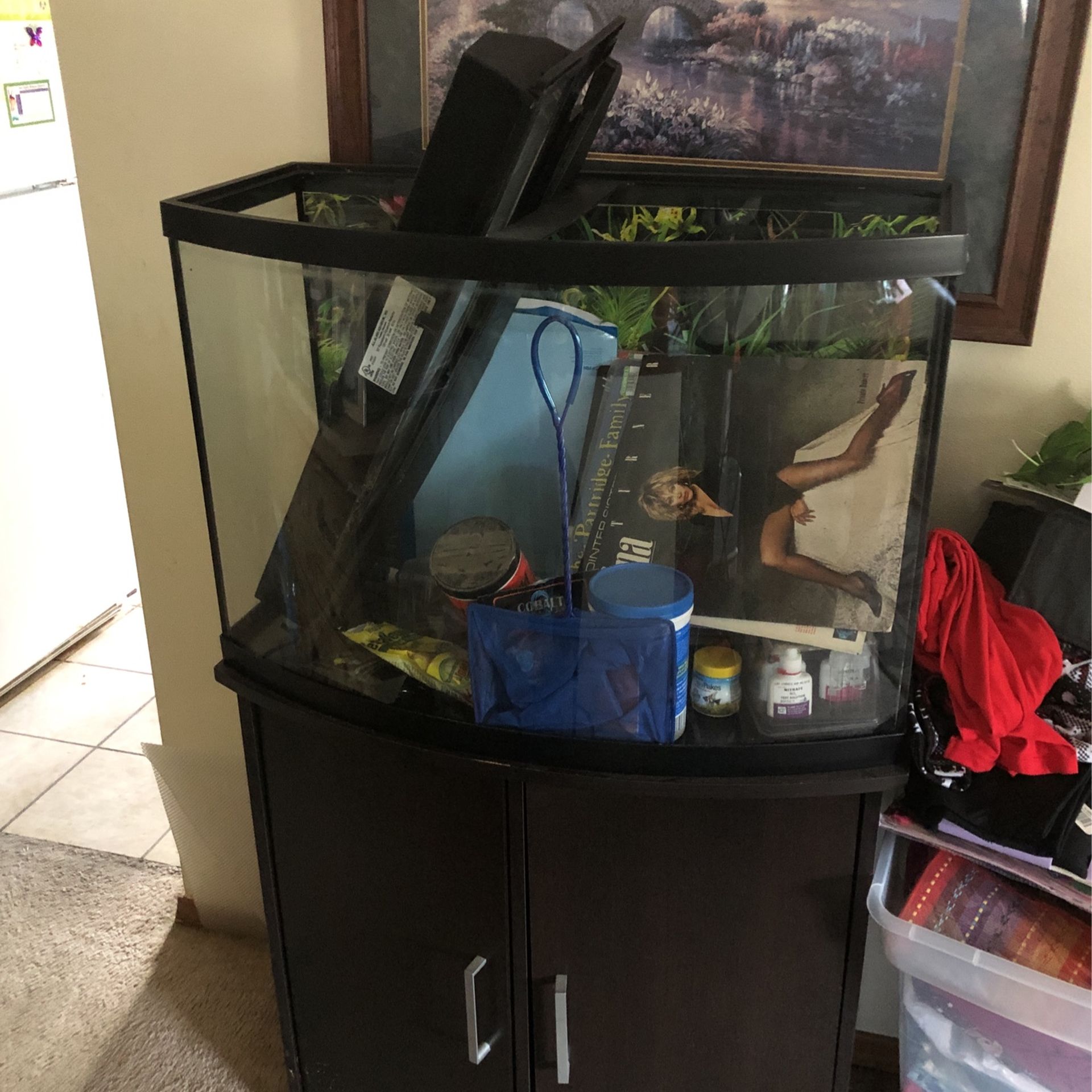 46 Gallon Bow Front Aquarium