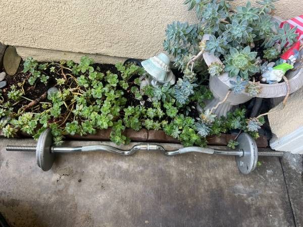 └➤➤➤35 lbs | EZ Curl Bar for Weight Lifting, Biceps, Triceps