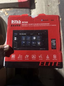 Stereo And Back Up Camera