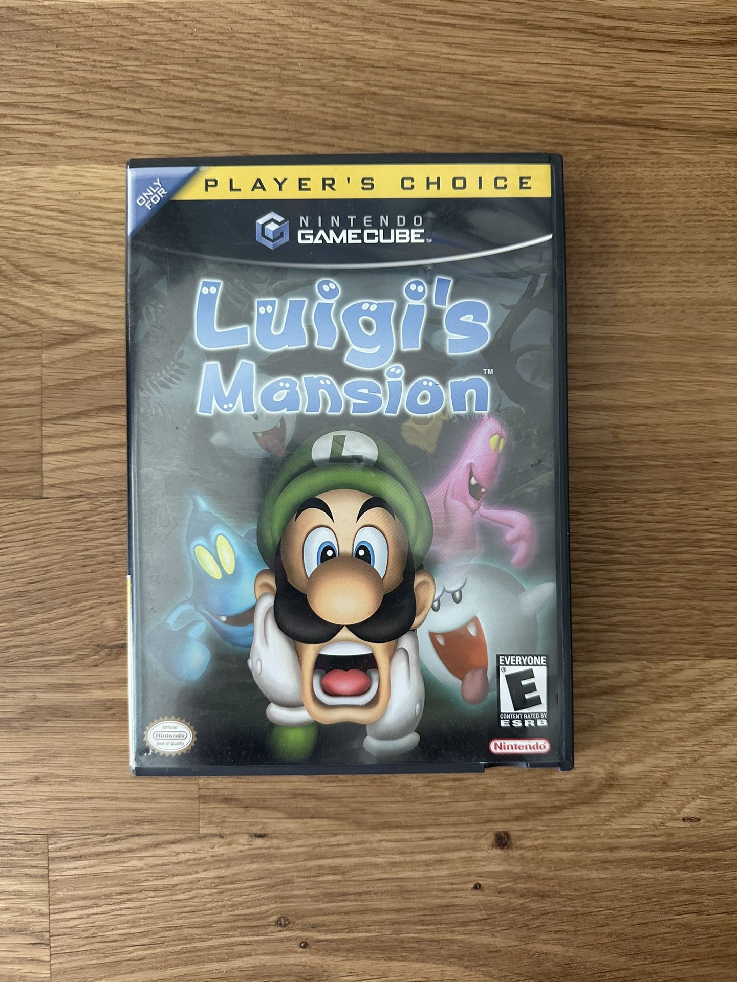 Luigi’s Mansion