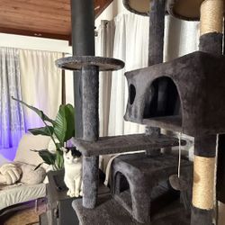 Cat house