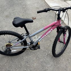 Nishiki Mountain Bike 24”