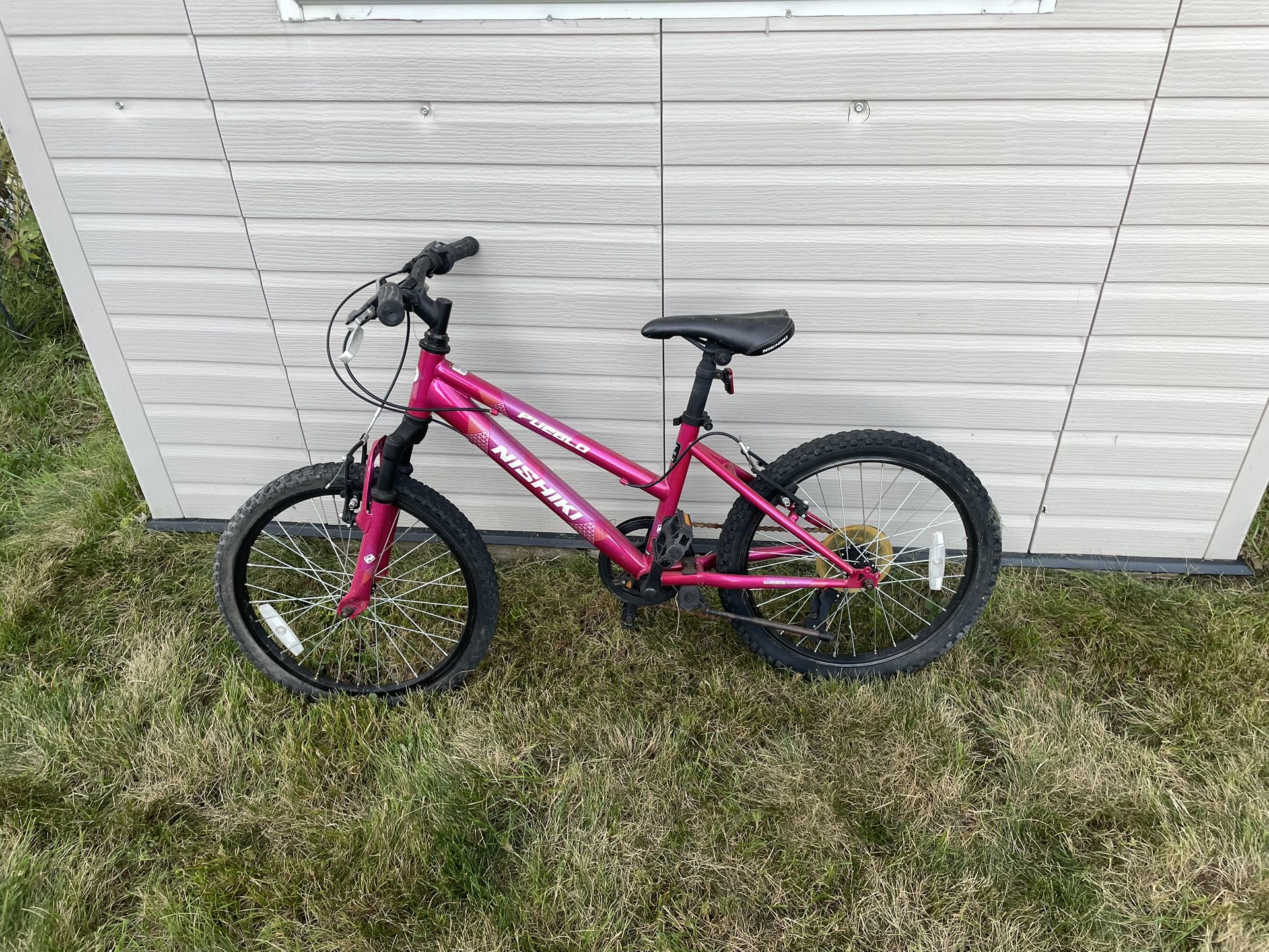 Girls Multi Speed Bike