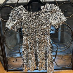 Zara Silver Sequence Dress