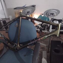 Carbenfiber Bike Frame 