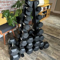 Dumbbells and rack