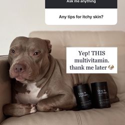 Dog Is Human Multivitamin For Dogs