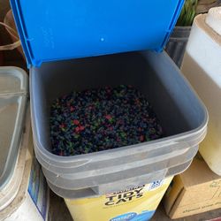 Substrate For Aquarium 