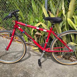 NISHIKI RED 24”