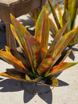 Love Agaves🪷desert style decor, POTS
Metal Art Imports🌵
