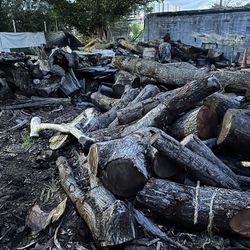 Free Logs and Stumps