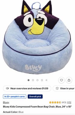 Bluey bean bag chair