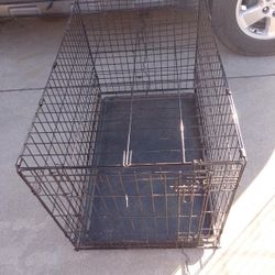Dog 🐺 Crate Large 