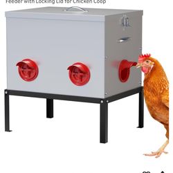 Chicken Feeder,