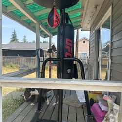Punching Bag, Never Used