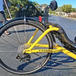 Catrike Expedition 