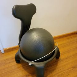 Yoga Ball Gaiam Chair