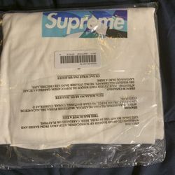 Supreme Emilio Pucci Box Logo 