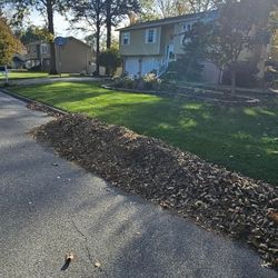 Lawn & Leaf Clean-up