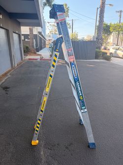 Werner LeanSafe X3 300lb Pro Grade Ladder