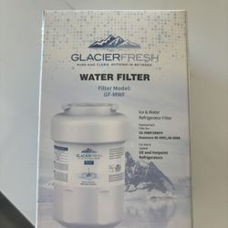 Refrigerator Filter