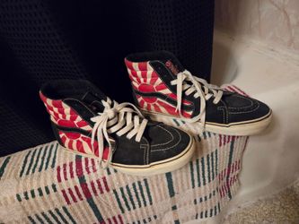 Vans Christian Hosoi Sk8 Shoes