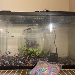 Fish Tanks 