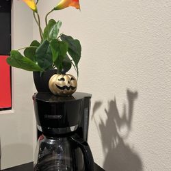 Coffee maker, air fryer, and toaster