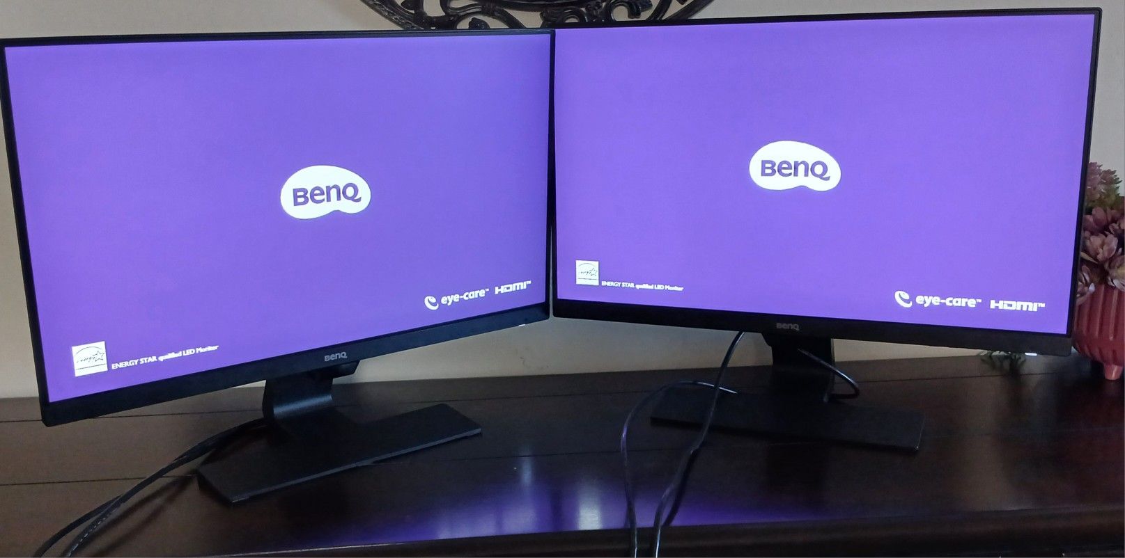 BENQ Dual Monitors